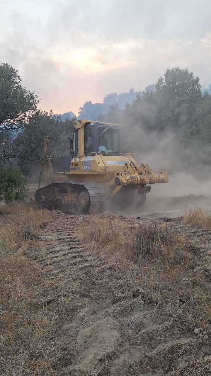 WhatsApp Image 2025-08-18 at 21.43.53 (1).jpeg