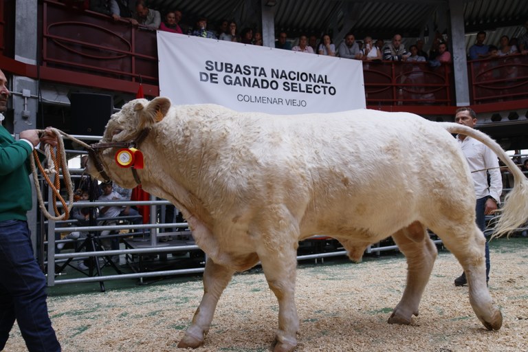 NdP_Despensa-SubastaGanado_5.JPG