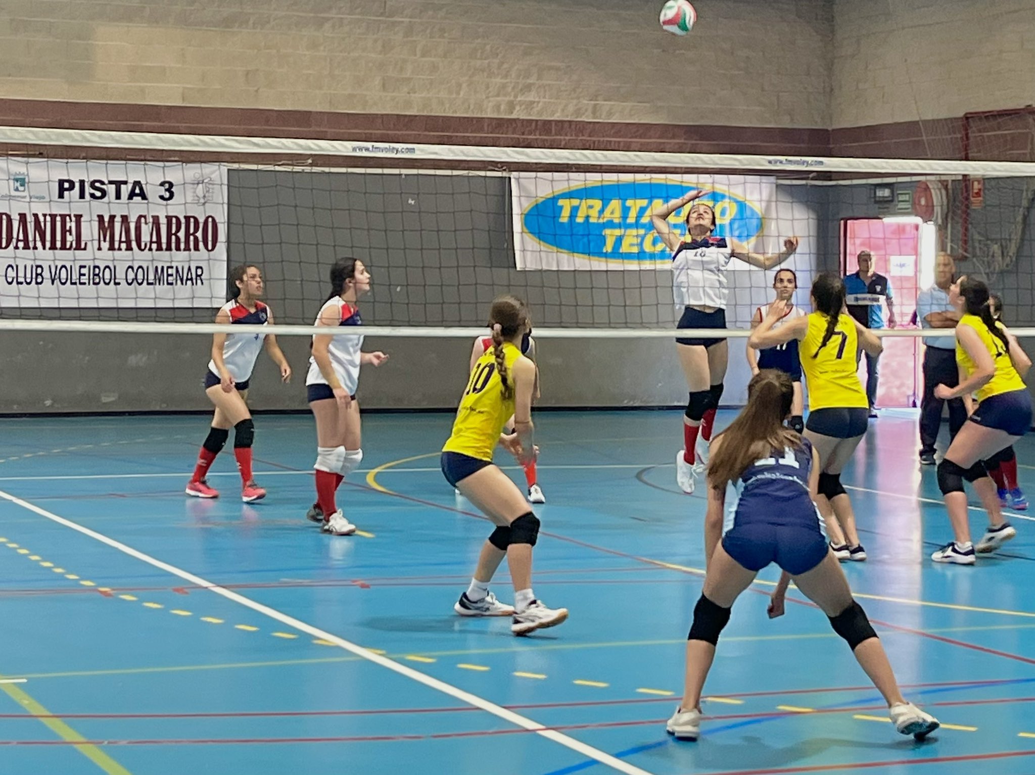 Día 26 Voleibol