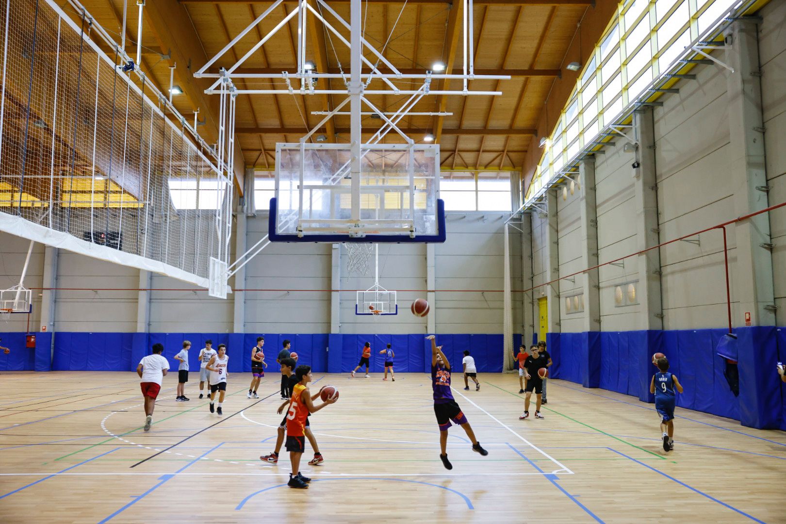 Ndp Finde Baloncesto