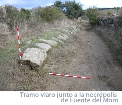 Fuente Moro