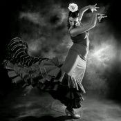 V 'Flamencol': Espectáculo de Baile Flamenco