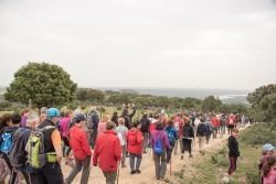 Jornadas de Medio Ambiente 2019: XVIII Marcha de Medio Ambiente - Maratón Fotográfico